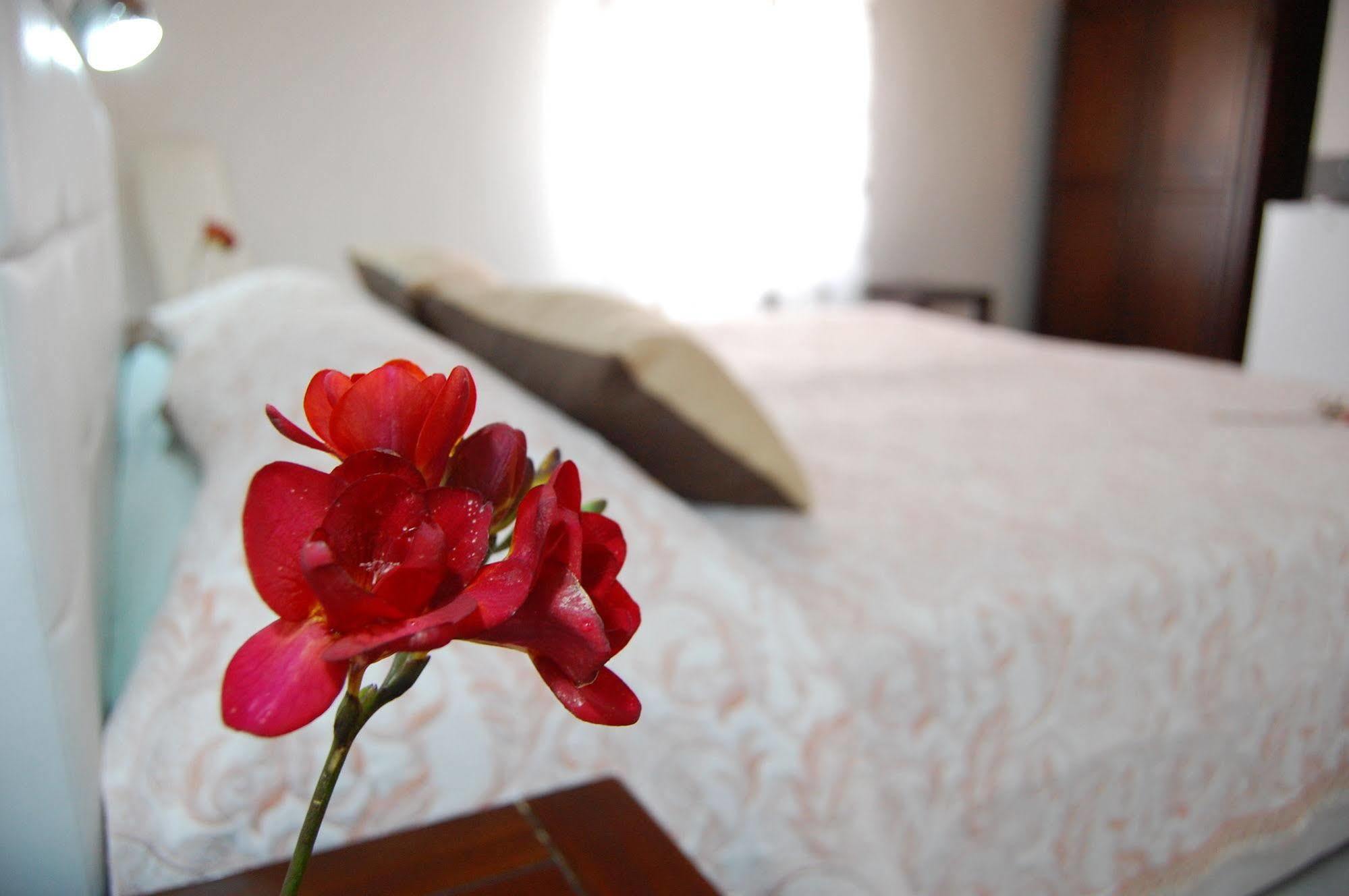 Il Mirto E La Rosa Bed and Breakfast Arenella  Eksteriør billede